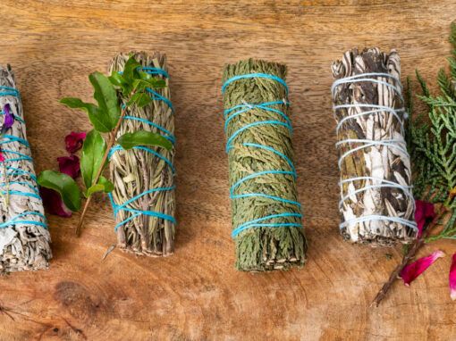 Discover the Magic: 10 Essential Herbs for Apothecary of a Green Witch