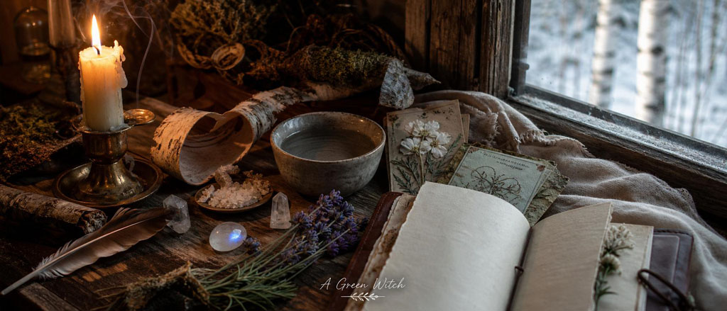 Birch Tree Spiritual Meaning renewal altar