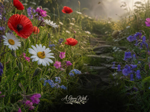 The Enchanting Folklore of Wildflowers and Their Energy