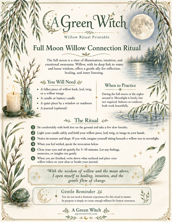 Willow Moon Ritual Guide